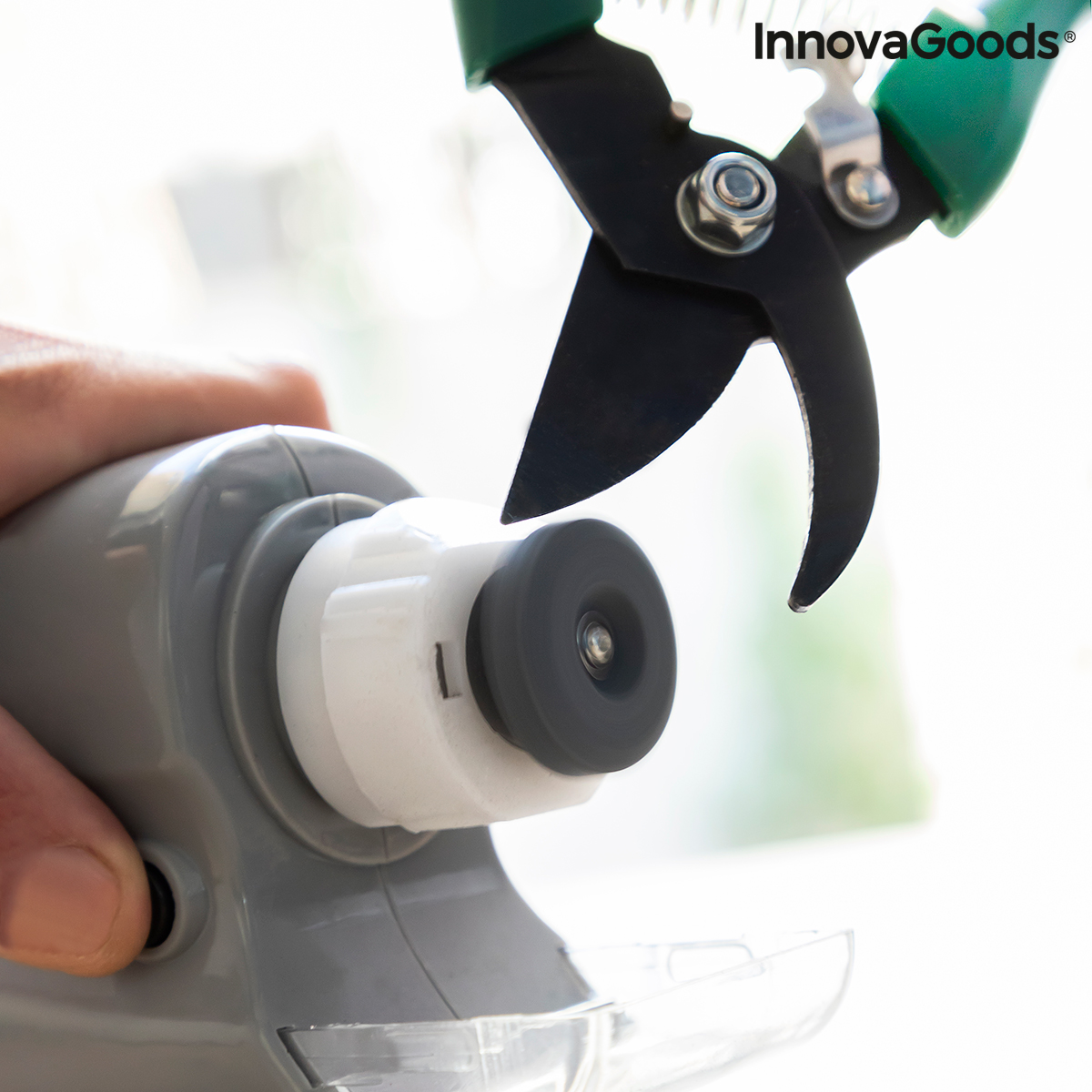 V0103410_4 V0103410_4